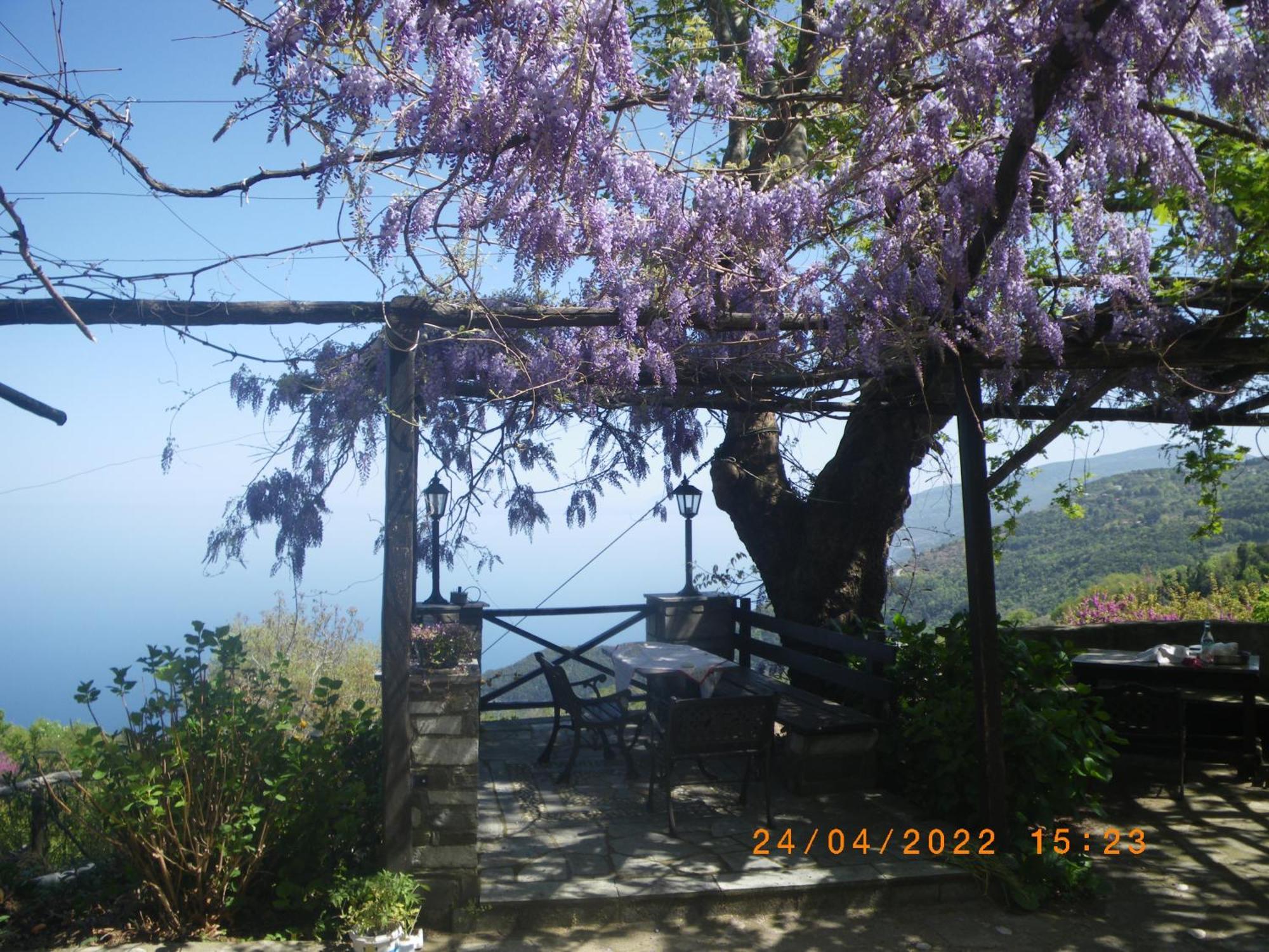 Villa Georgie Tsagarada Exterior foto