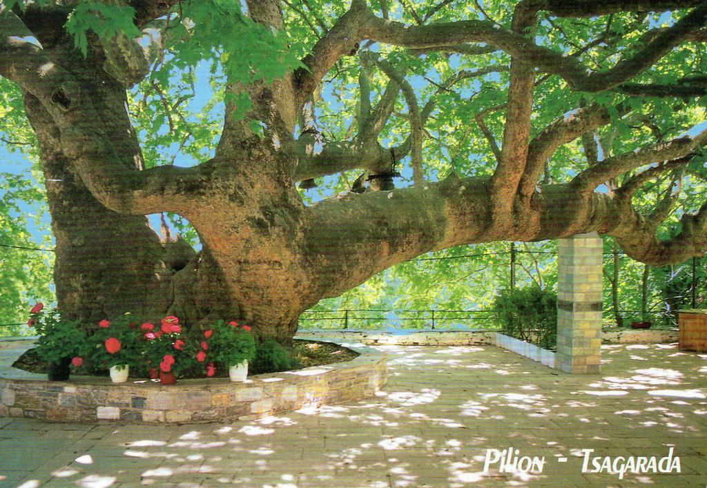 Villa Georgie Tsagarada Exterior foto